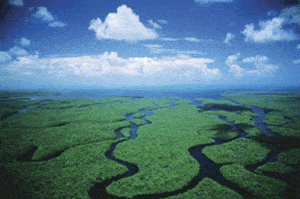 Everglades National Park, Miami City Tour e passeio de barco por Biscayne