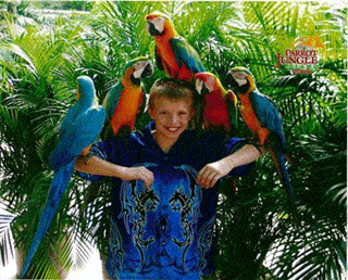 Jungle Island  (Parrot Jungle)