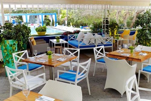 Terrazza  Ristorante