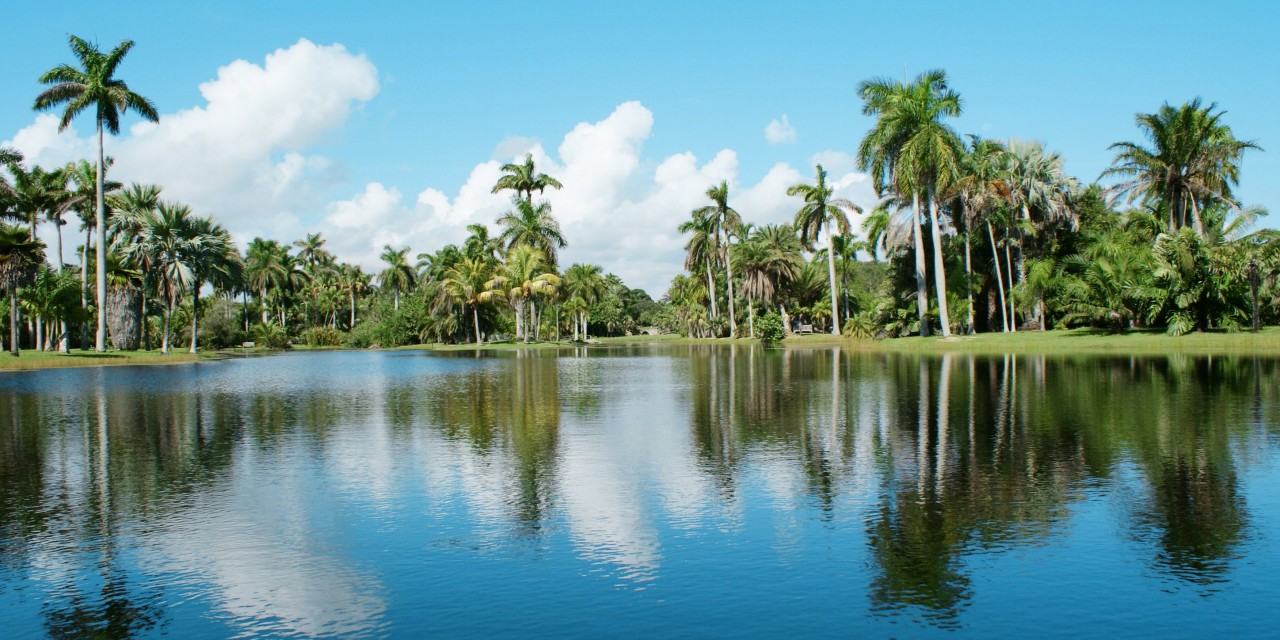 Fairchild Tropical Botanic Garden