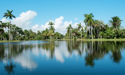 Fairchild Tropical Botanic Garden